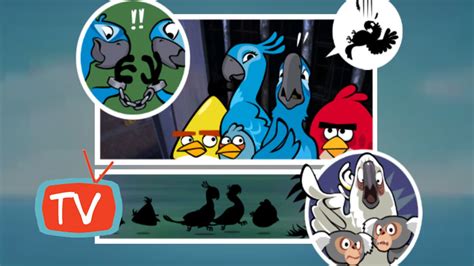 Whether your passion is angry birds, angry birds seasons, angry birds rio, or one of the other flavors, we will help you on your quest to defeat those evil pigs, obtain 3 stars, and find those elusive golden eggs. Angry Birds Rio - Smugglers Den level 21-30 - Gameplay ...