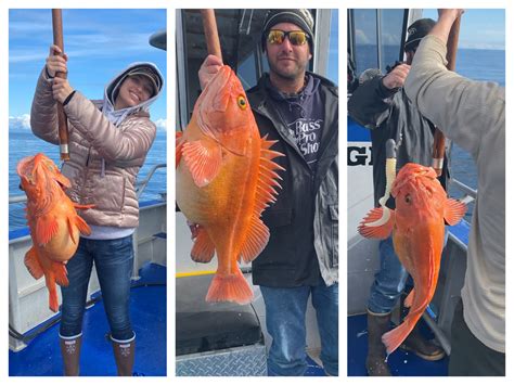 Our best hotels in deer lodge mt. Yellow-Eye Rockfish in the Bay - Larsen Bay Lodge
