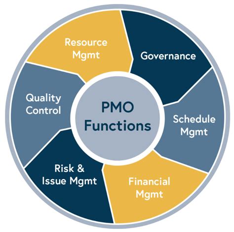 Case Study Program Management Office Pmo Support
