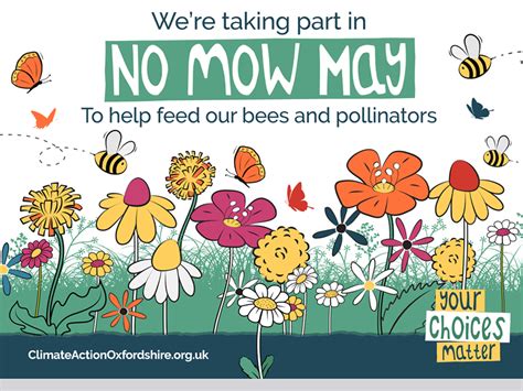 No Mow May To Help Wildlife Round And About Round And About Magazine