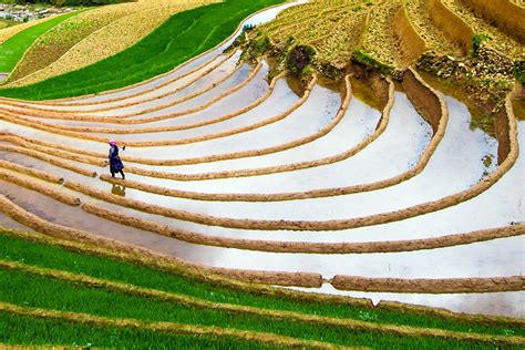 Hmong Rice Terraces Smithsonian Photo Contest Smithsonian Magazine