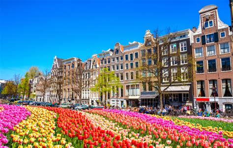 Fly To Amsterdam During Peak Tulip Season TravelPirates