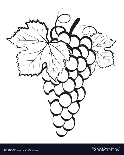 Are you searching for grape png images or vector? Best Free Bunch Of Grapes Vector Drawing