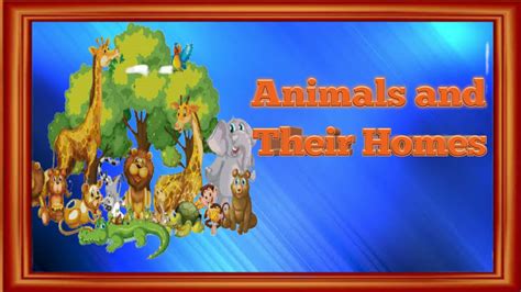 Animals and their homes | Animals home | Home of animals | Animal homes