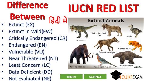 Difference Between Extinct Extinct In Wild Critically Endangered