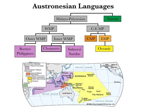 Chamorro Dna Studies And The Origin Of The Chamorro People