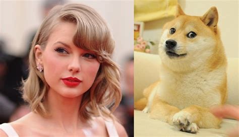 18 Celebrities Who Look Like Animals