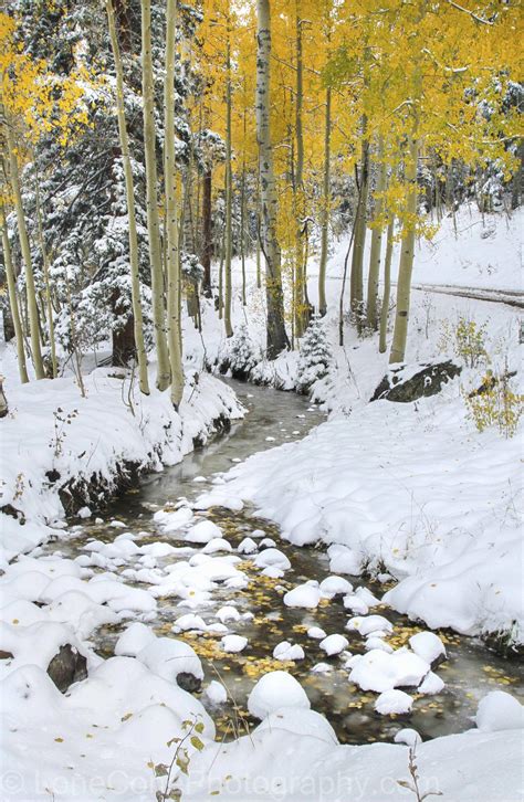 Snowy Creek Lonecone Photography Llc