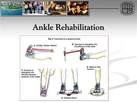 Ppt Ankle And Foot Orthopaedic Tests Orthopedics And Neurology Dx 612