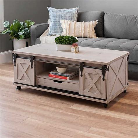 Rustic Gray Coffee Table With Storage Park Art