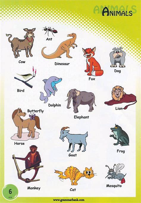 Animals Name In Hindi And English With Pictures Pdf Download