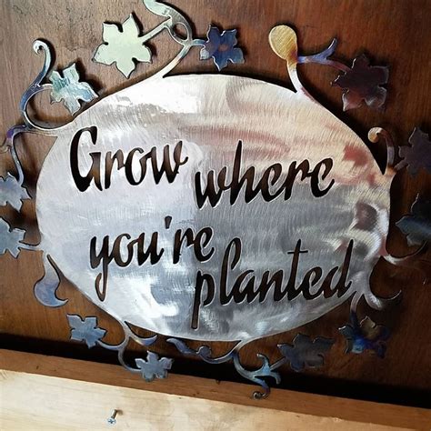Grow Where Youre Planted