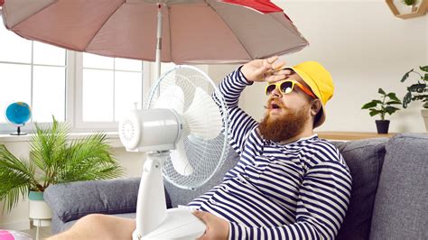 Wohnung kühl halten ohne Klimaanlage 5 Tipps Stadtportal der