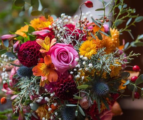 Be inspired by our beautifully designed flower collections, whatever the occasion. Seasonal Flower Subscription $50.00 per month in ...