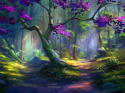 Magical Colors Beauty Forest Trees Hd Wallpaper Peakpx