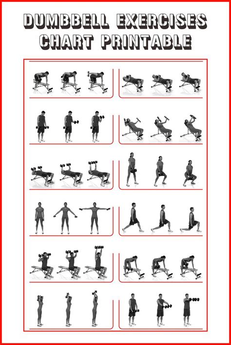 Dumbbell Exercises Chart Printable