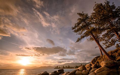 Landscape Trees Clouds Stones Sunlight Sunset Lake Pine Trees