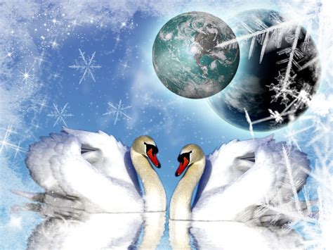 Swans In A Winter Wonderland Winter Wallpaper 9208830 Fanpop