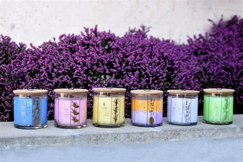 Natural Candle Lavender Essential Oil Candle Aromatherapy Etsy