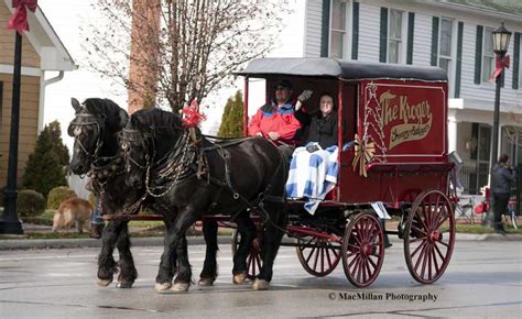 Christmas Carriage Parade Ushers In Holiday Spirit With Equestrian