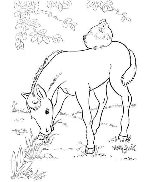 Foal Coloring Pages Coloring Home