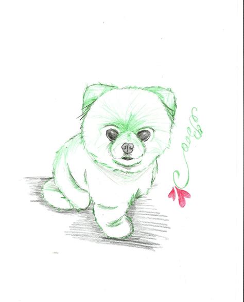 Anime Pomeranian Anime Cute Dog Drawings Pic Connect