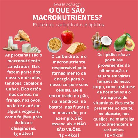 Macronutrientes O Que é