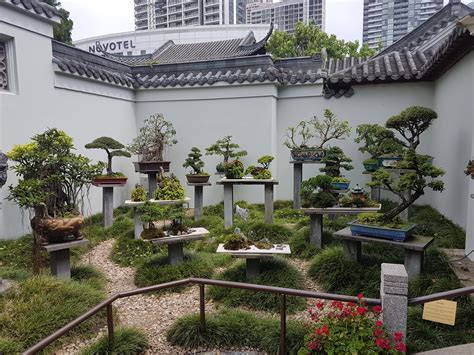 Collection Of Bonsai Trees In The Chinese Garden Of Friendship Rbonsai