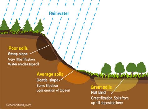 Soil Formation Factors Eschooltoday