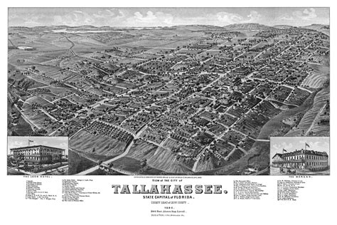 Beautifully Restored Map Of Tallahassee Florida From 1885 Knowol