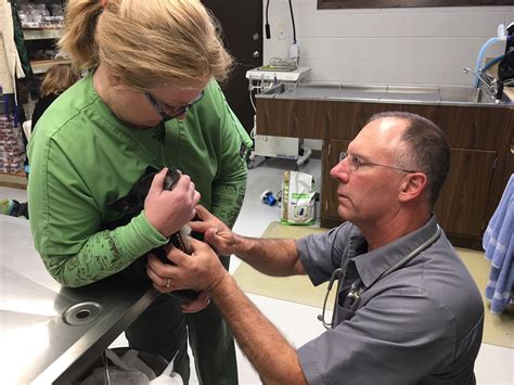 A high quality aaha accredited hospital that's focused on compassionate care! Staff Gallery - Lakeland Animal Hospital, P.C.