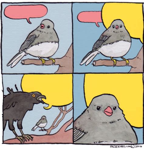 Template Annoyed Bird Blank Memes Meme Template Create Memes
