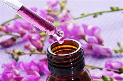 Bush Flower Remedies Flower Essence Therapy Simply Great Health