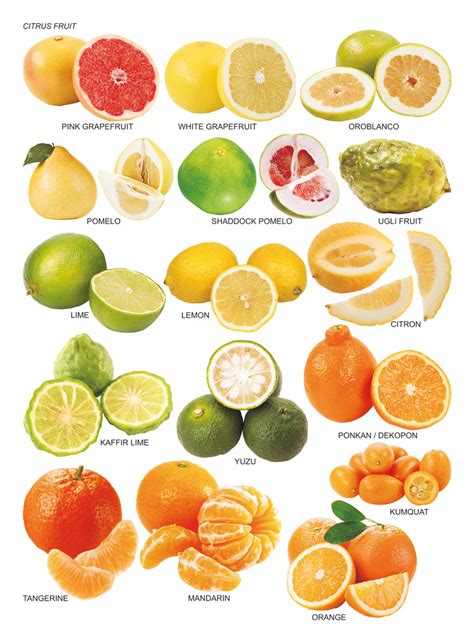 Citrus Fruit Pairings Perfect Combinations For Culinary Harmony
