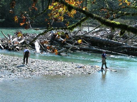 These 12 Amazing Spots In Washington Are Perfect To Go Fishing | Fishing places, Camping in