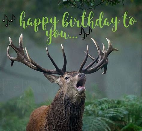 A Deer With Antlers And The Words Happy Birthday To You On Its Face