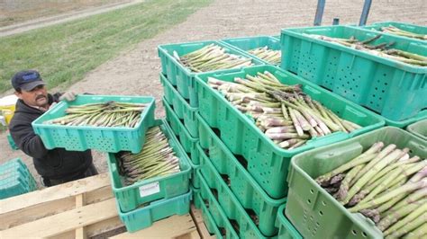 At tri city foods, inc., working at one of our burger king restaurants gives our team. Asparagus lovers rejoice: Tender stalks on menu at Pasco's ...