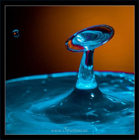 Water Drops In 2020 Splash Photography High Speed Photography Macro