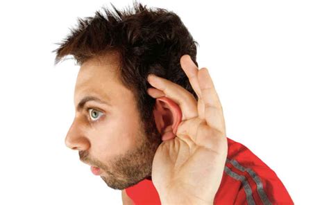 Proses Mendengar Bunyi Penjelasan Bagaimana Telinga Bekerja
