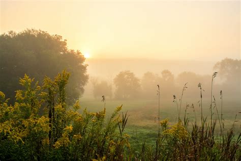 Foggy Sunrise Mark Maccio Flickr