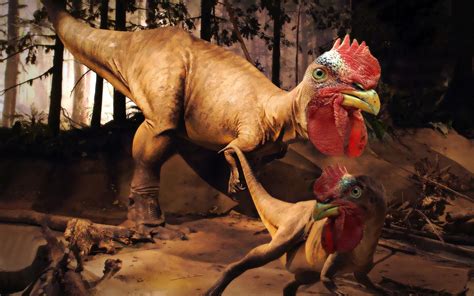 Funny Dinosaur Wallpapers Top Free Funny Dinosaur