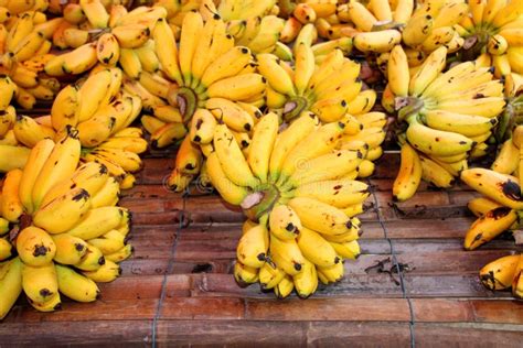 Dainty Bananas Or Pisang Mas Stock Image Image Of Natural Musaceae