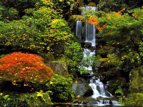 Japanese Nature Wallpapers Wallpaper Cave