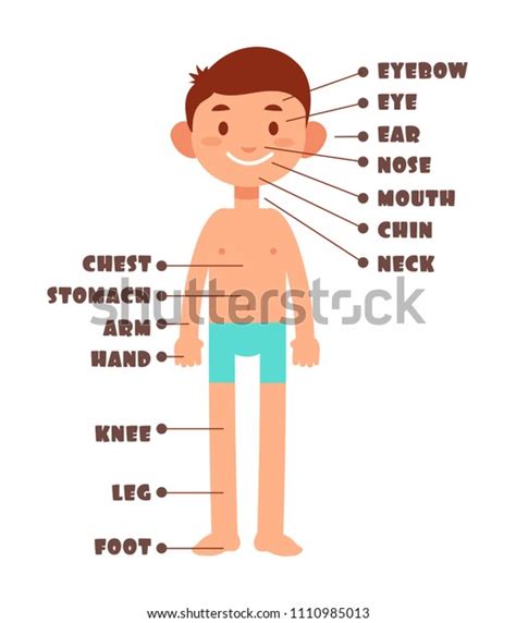Ilustración De Stock Sobre Cartoon Boy Kids Body Parts English 1110985013