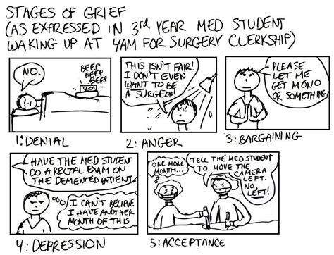 A Cartoon Guide To Becoming A Doctor Stages Of Grief Surviving