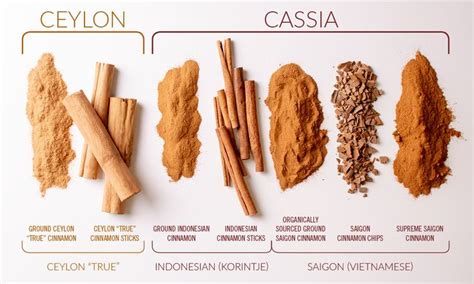 Types Of Cinnamon Cinnamon Health Benefits Savory Spice Shop