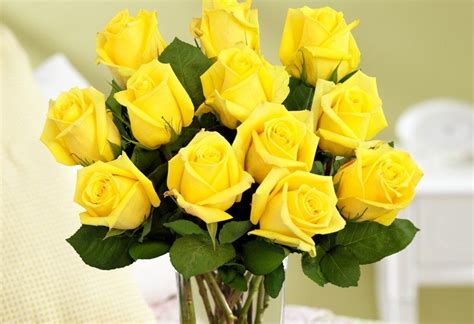 As human's, we have associated certain meanings to flowers since greek times. History and Meaning of Yellow Roses - ProFlowers Blog