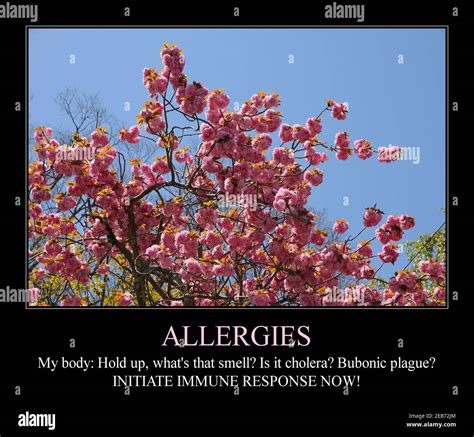 Allergies Season Funny Meme For Social Media Sharing Spring Time