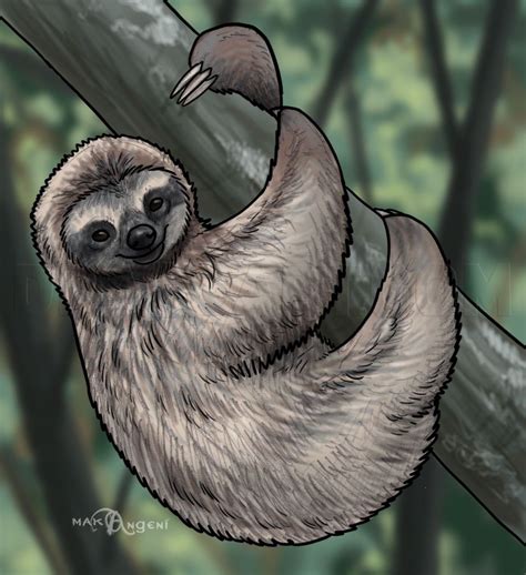 Tutorial About How To Draw Sloths In 2020 Sloth Art Sloth Drawing