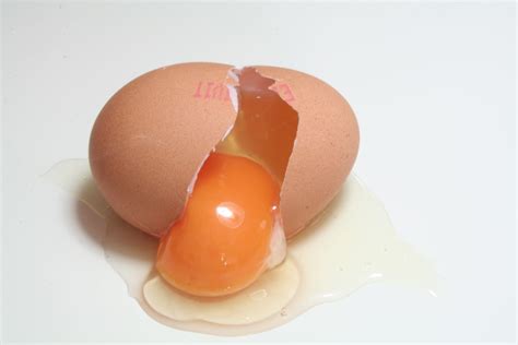 Albumen Egg